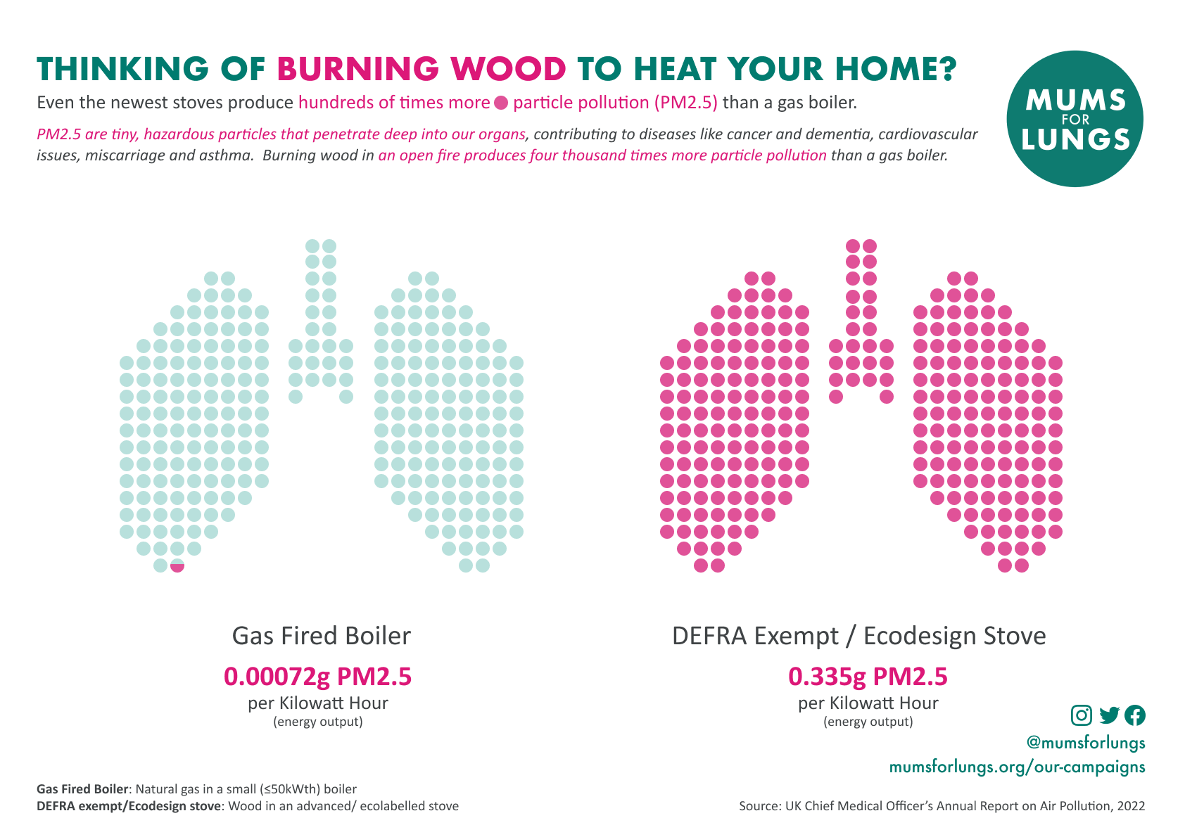 Wood Burning Campaign, Mums for Lungs