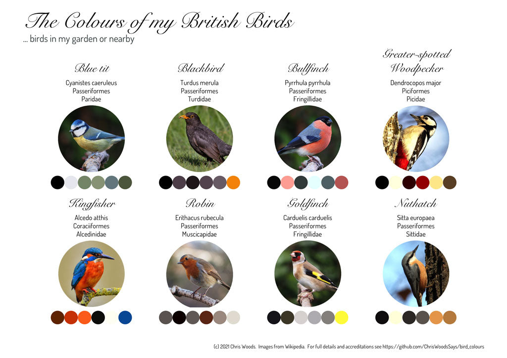 Colours of My British Birds